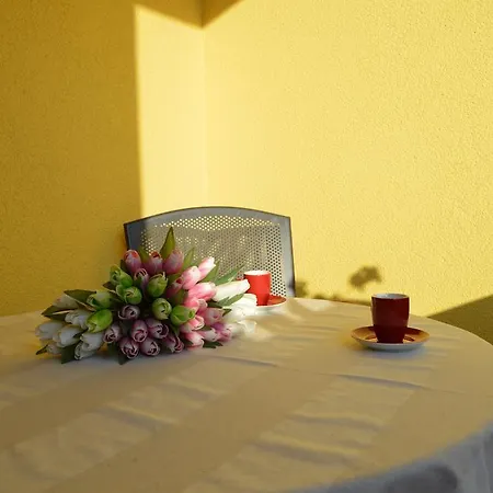 Apartments Vacanza 아파트