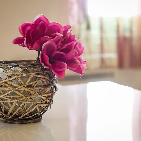 Apartments Vacanza 扎达尔