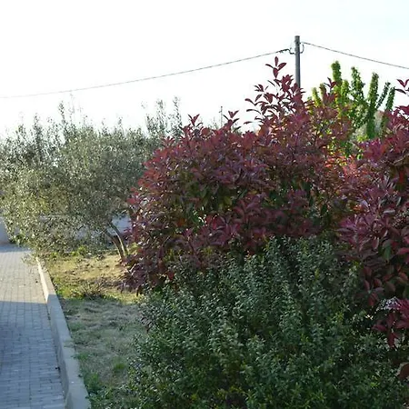 Apartments Vacanza * Zadar